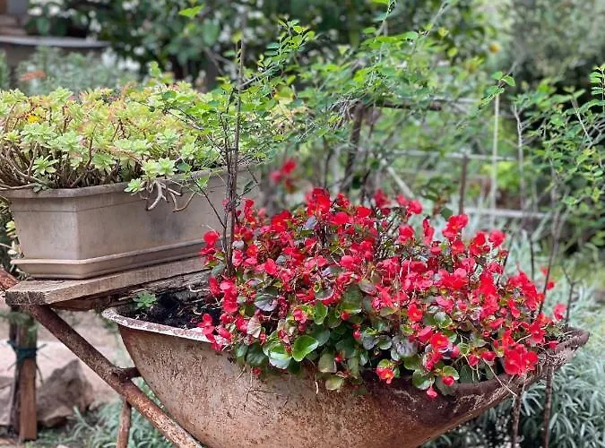 Miki, Okrug Gornji, * تروغير