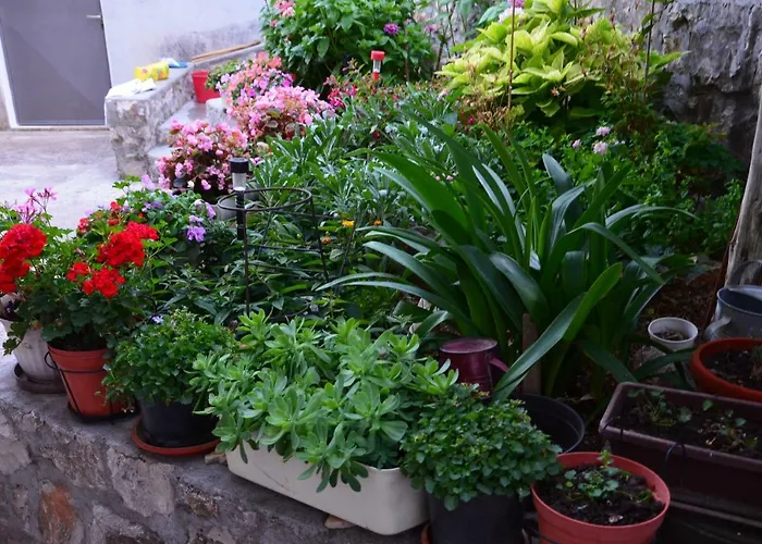 Miki, Okrug Gornji, شقة *